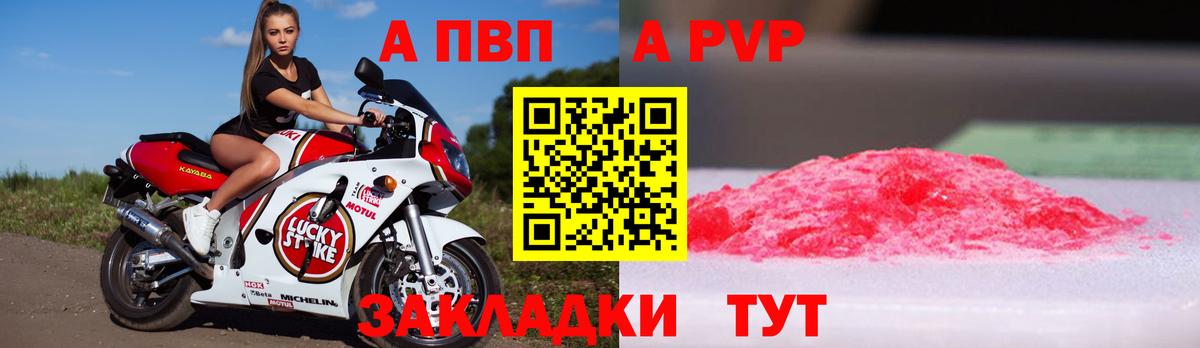 А ПВП СК КРИС Туапсе