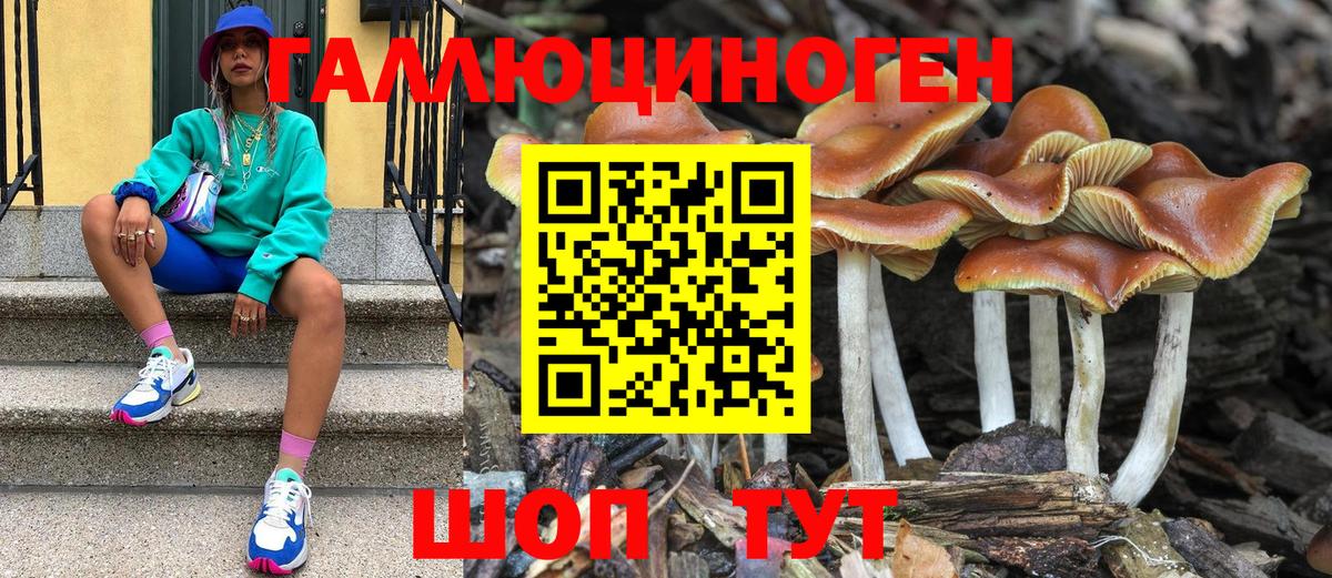 Туапсе  Галлюциногенные грибы MAGIC MUSHROOMS  Галлюциногенные грибы Magic Shrooms  Вход с VPN 